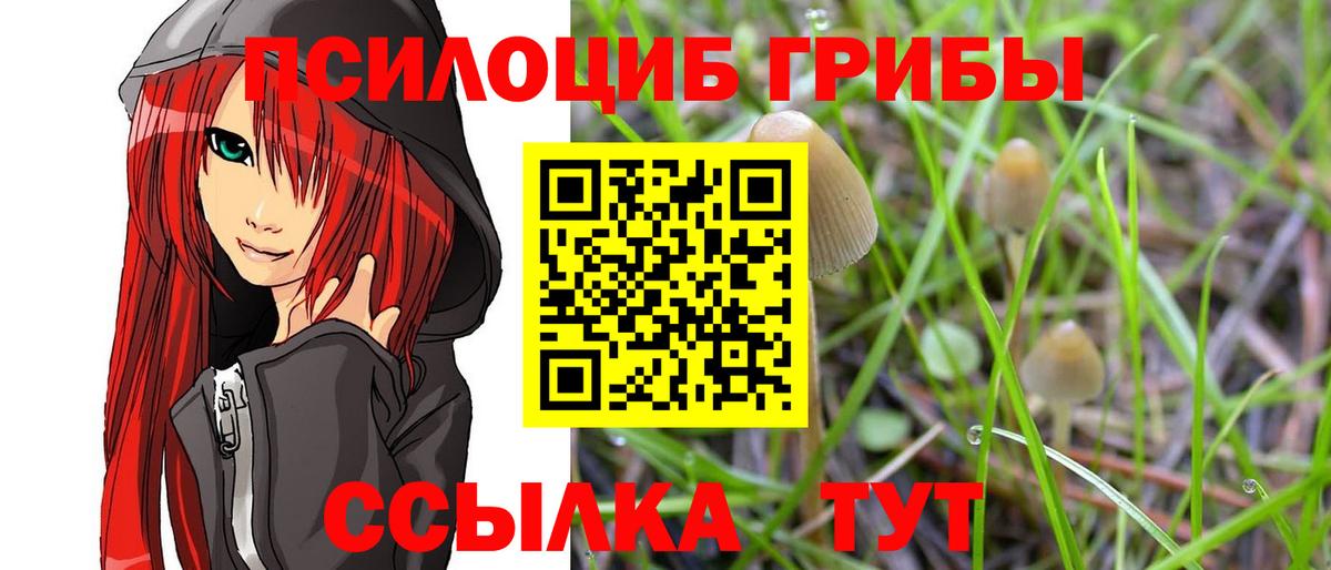Галлюциногенные грибы Magic Shrooms Советский